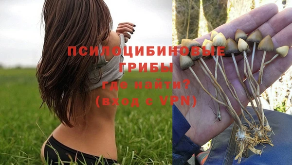 герыч Абаза