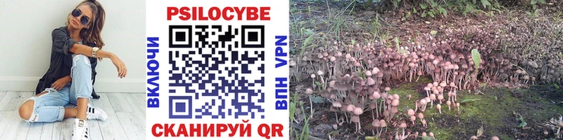 Псилоцибиновые грибы мухоморы  сайты даркнета официальный сайт  Екатеринбург 